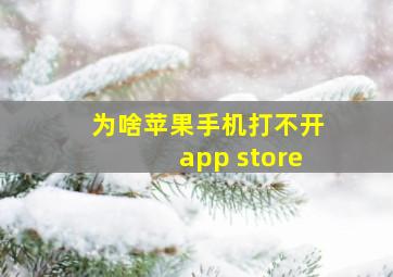 为啥苹果手机打不开app store